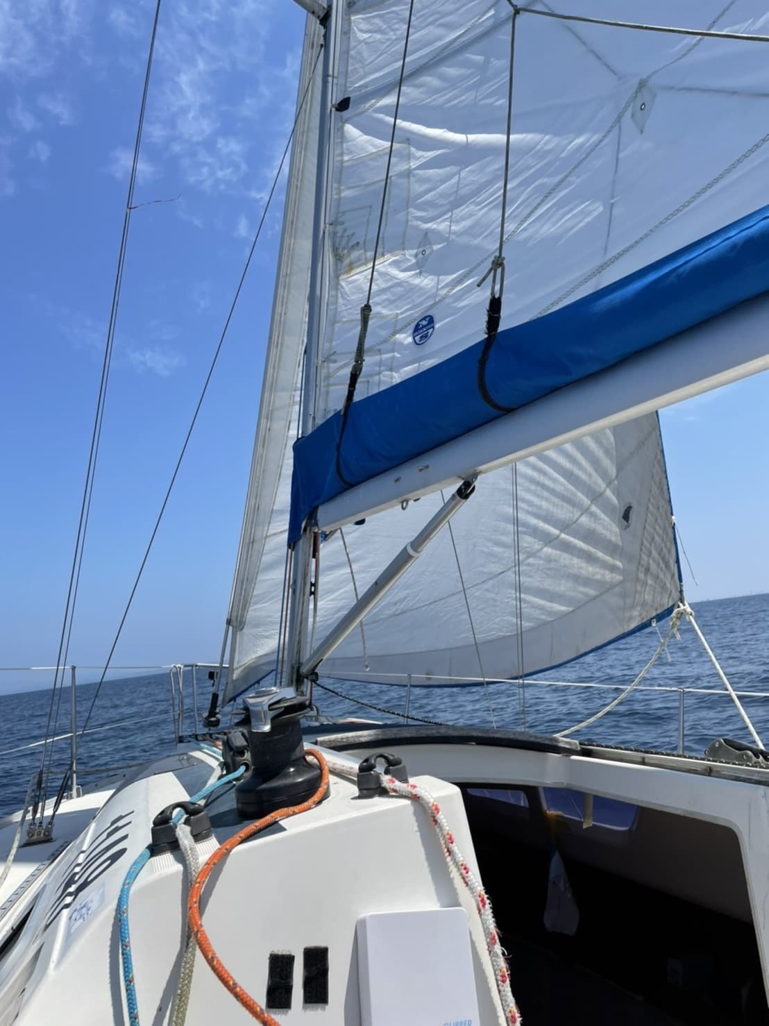 s__49791027.jpg